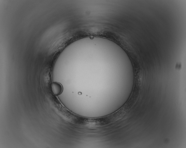 X0000110720746200906261455