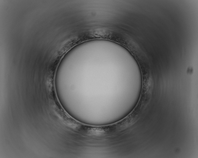 X0000110720749200906261455