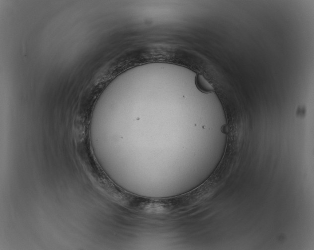 X0000110720751200906261455