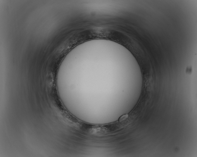 X0000110720752200906261455