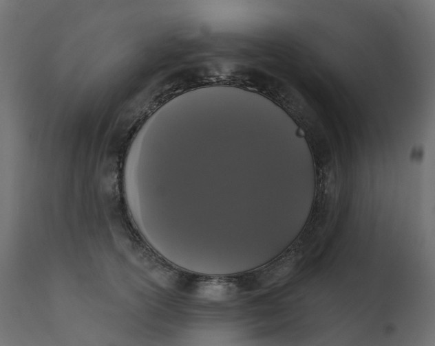 X0000110720754200906261455