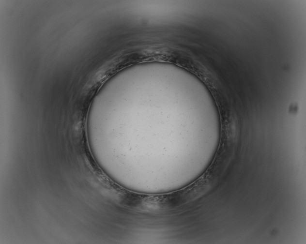 X0000110720757200906261455