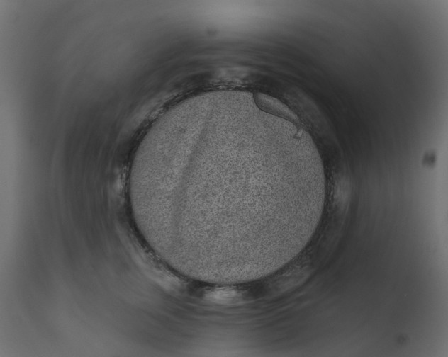 X0000110720759200906261455