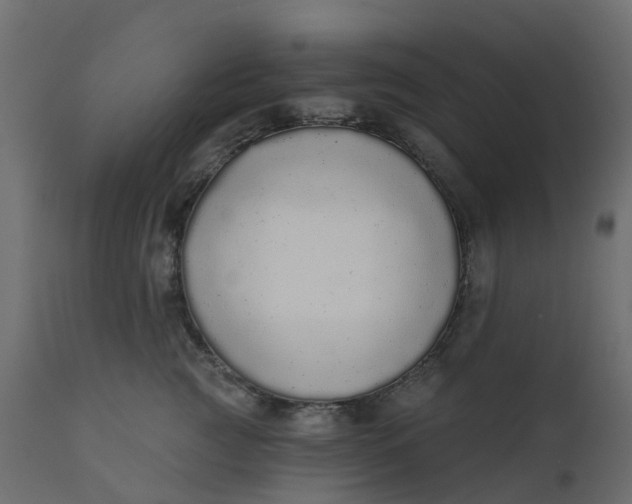 X0000110720761200906261455