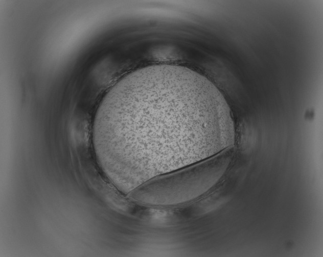 X0000110720762200906261455