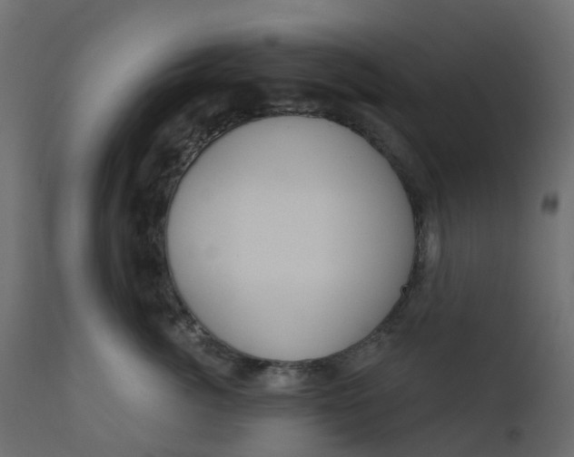 X0000110720764200906261455