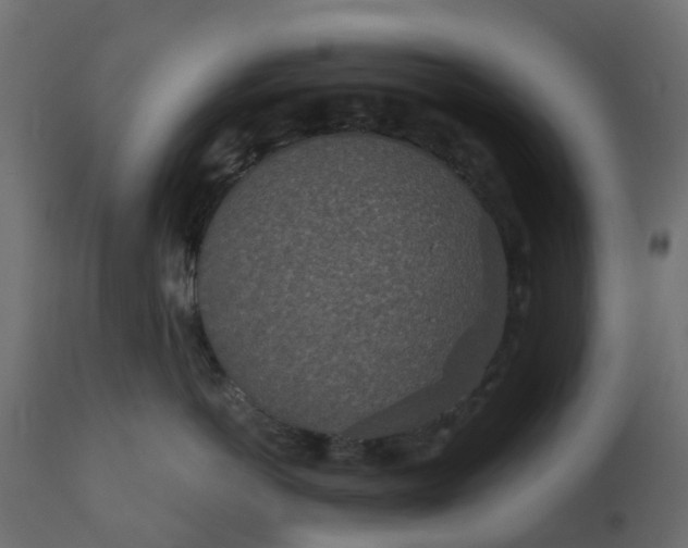 X0000110720766200906261455