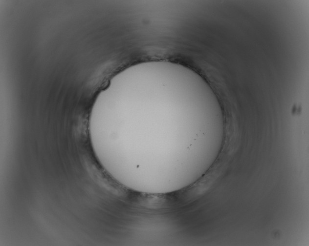 X0000110720768200906261455