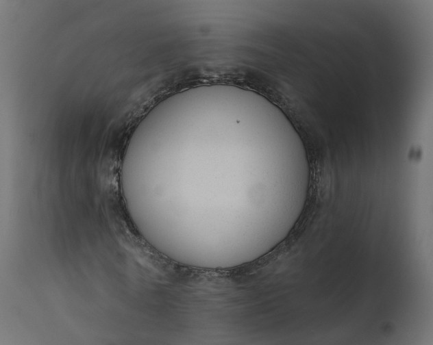 X0000110720770200906261455