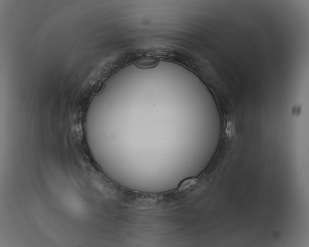 X0000110720771200906261455