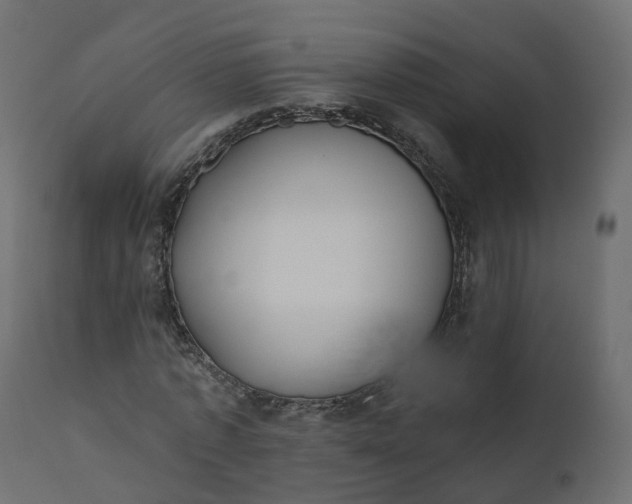 X0000110720773200906261455