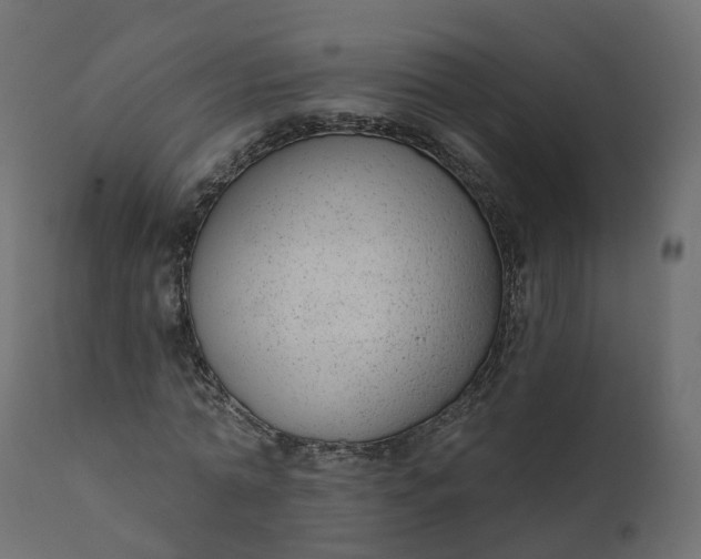 X0000110720774200906261455