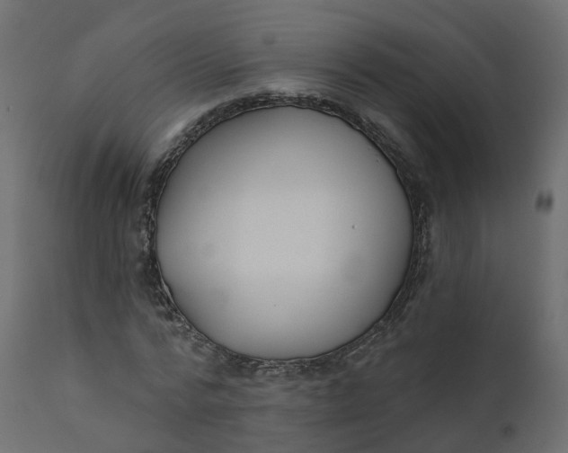 X0000110720776200906261454