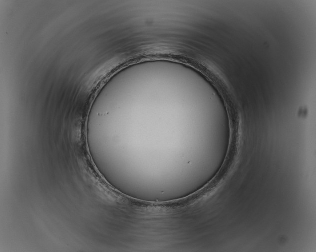 X0000110720777200906261454