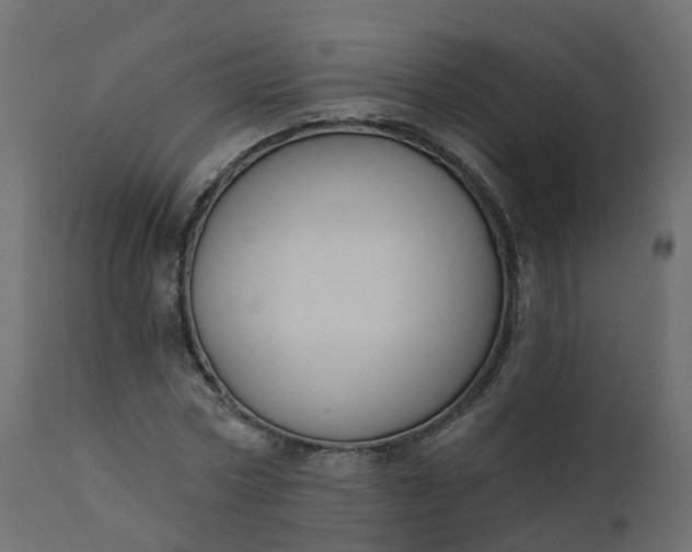 X0000110720778200906261454