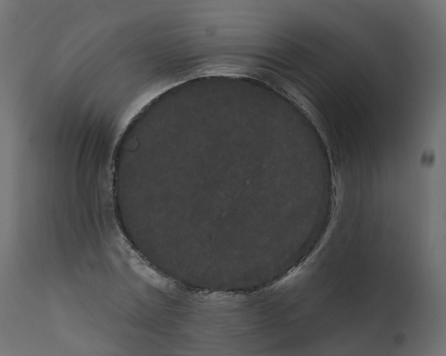 X0000110720779200906261454