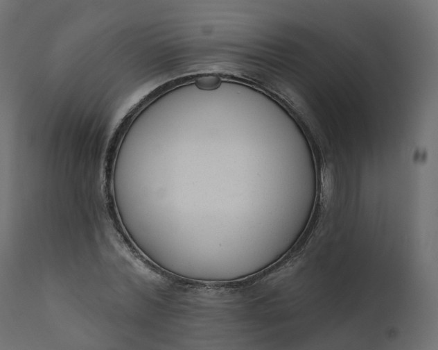 X0000110720780200906261454