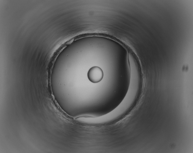 X0000110720781200906261454