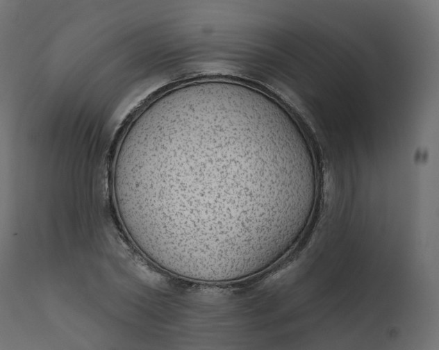 X0000110720782200906261454