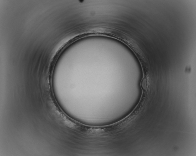 X0000110720784200906261454