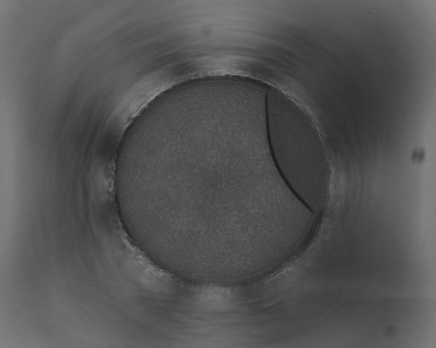 X0000110720785200906261454