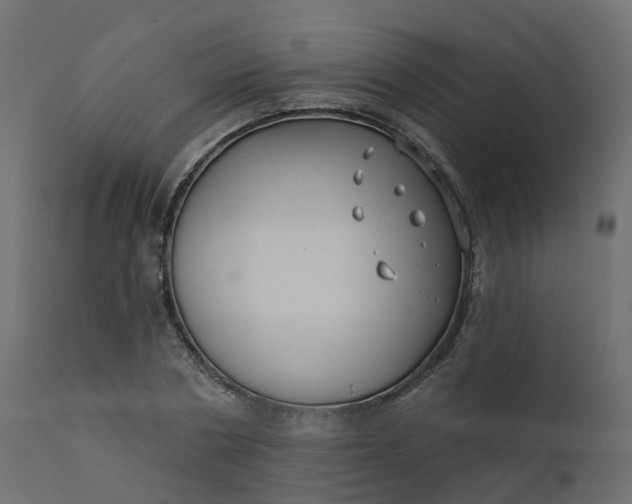 X0000110720786200906261454