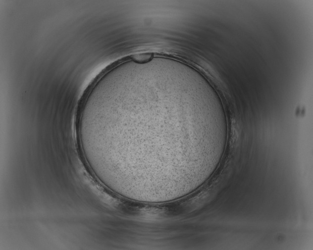 X0000110720788200906261454