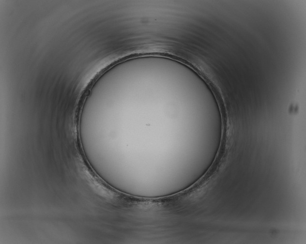 X0000110720789200906261454