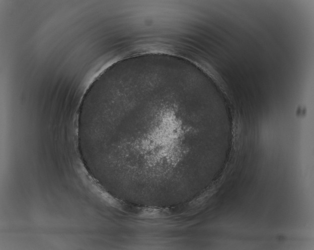 X0000110720790200906261454