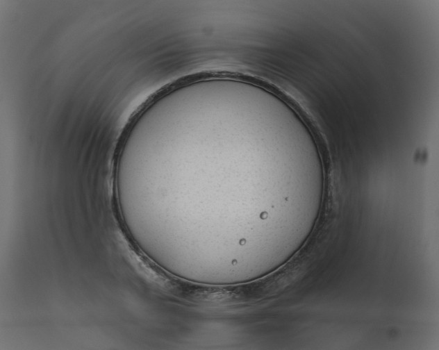 X0000110720791200906261454