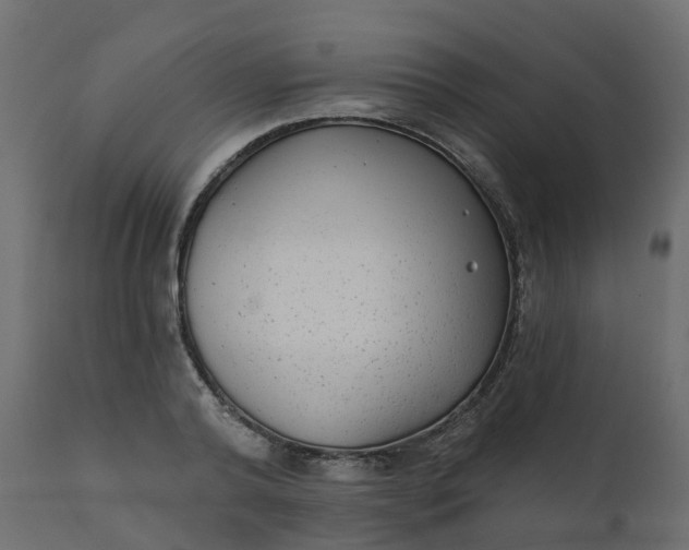 X0000110720792200906261454