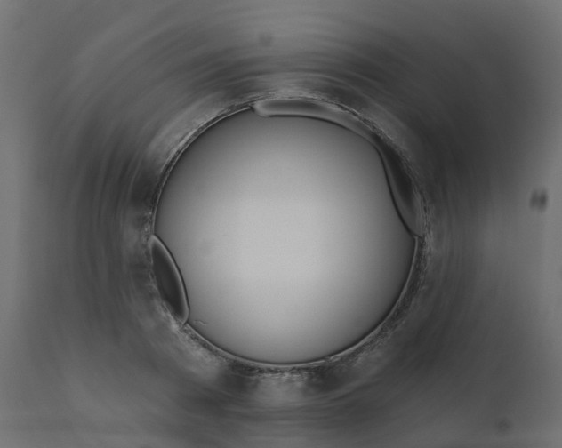 X0000110720793200906261454