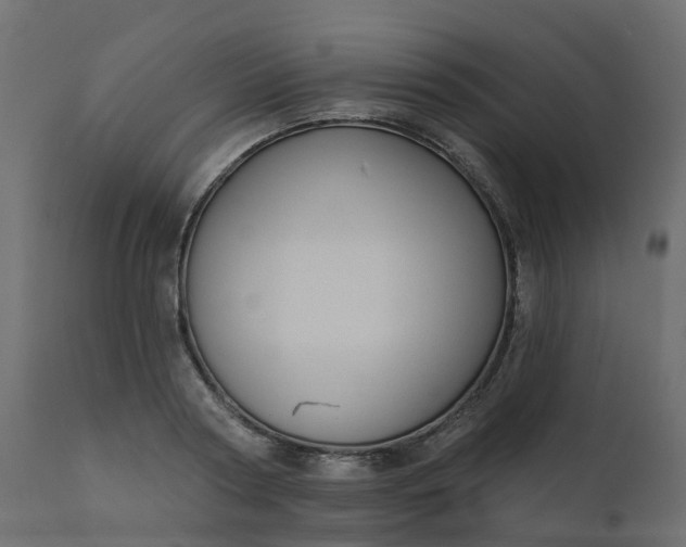 X0000110720794200906261454