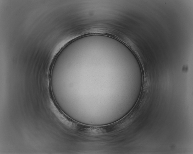 X0000110720795200906261454