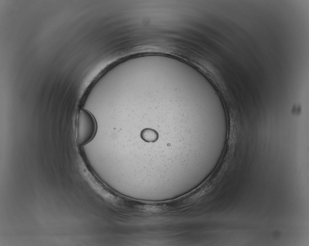 X0000110720796200906261454