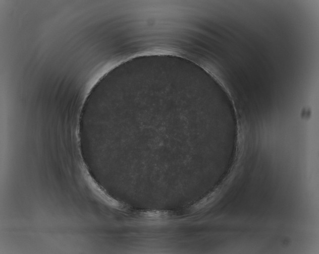 X0000110720797200906261454