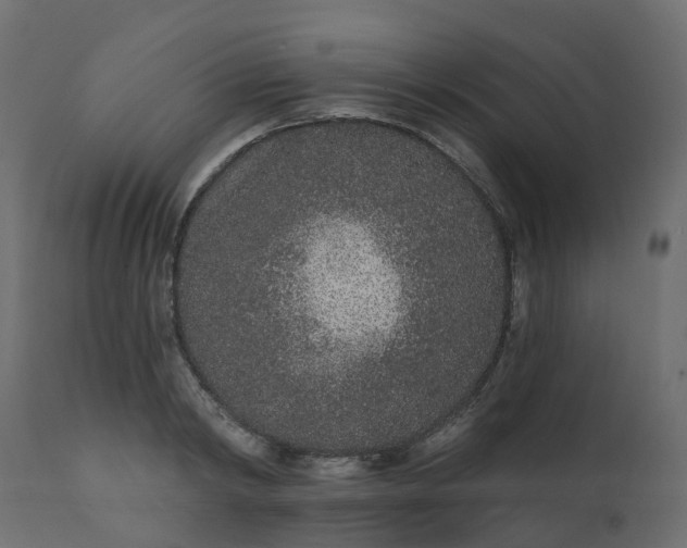 X0000110720798200906261454