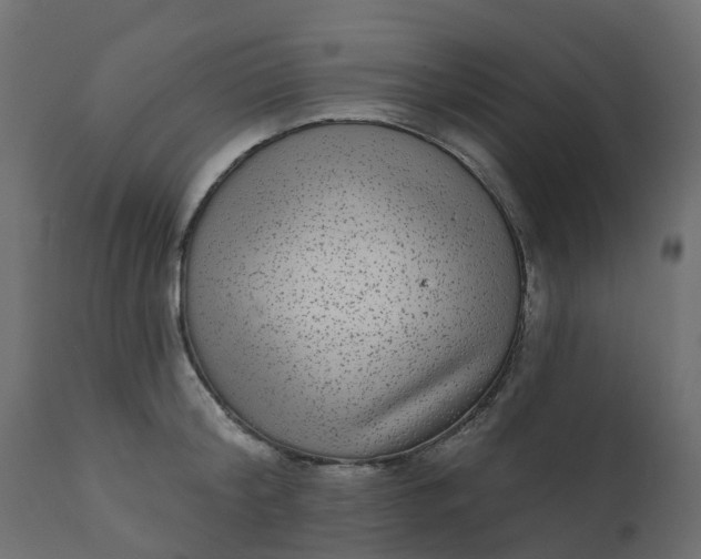 X0000110720804200906261454