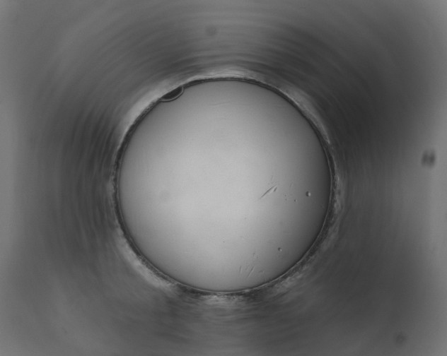 X0000110720805200906261454