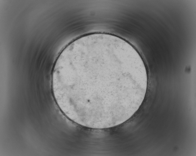 X0000110720807200906261454