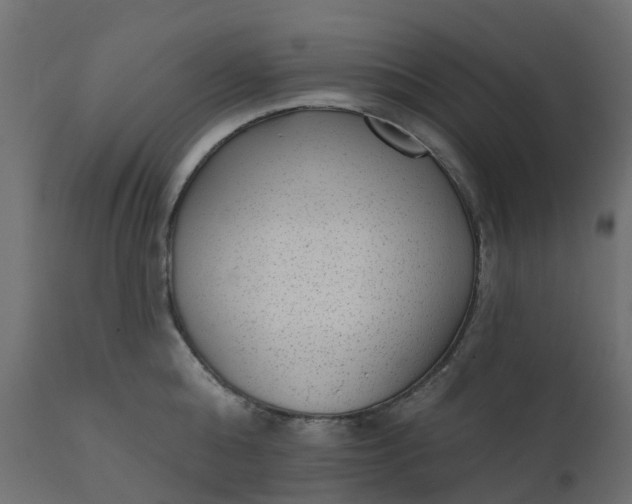 X0000110720808200906261454