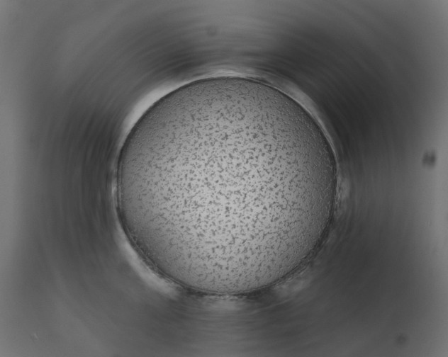 X0000110720811200906261454