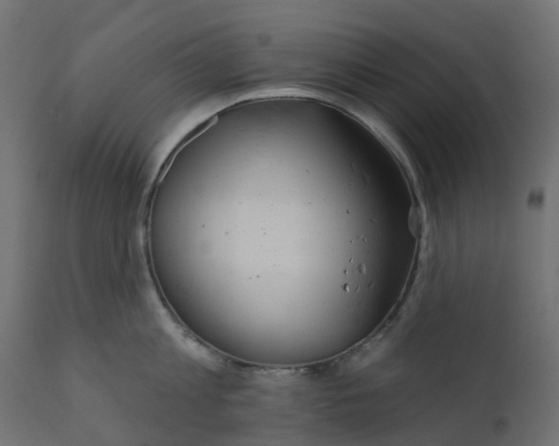 X0000110720813200906261454