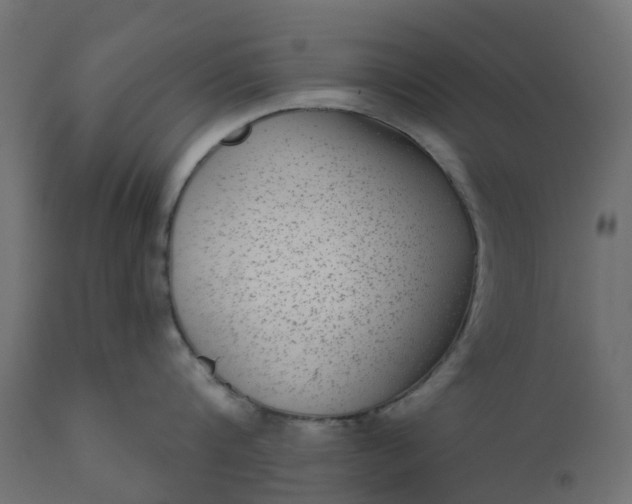 X0000110720816200906261454