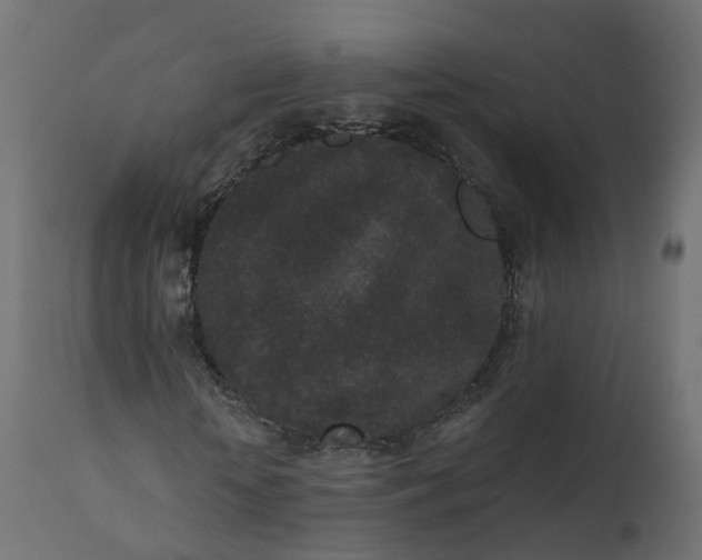 X0000110720818200906261453