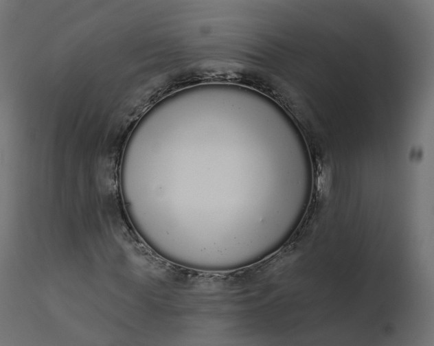 X0000110720819200906261453