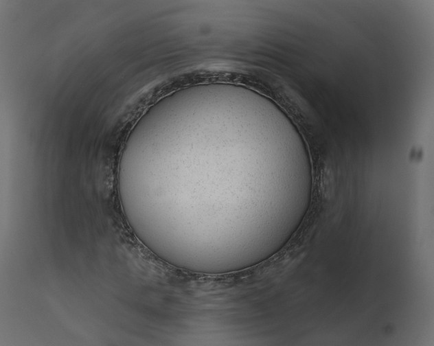 X0000110720821200906261453