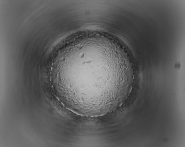 X0000110720823200906261453