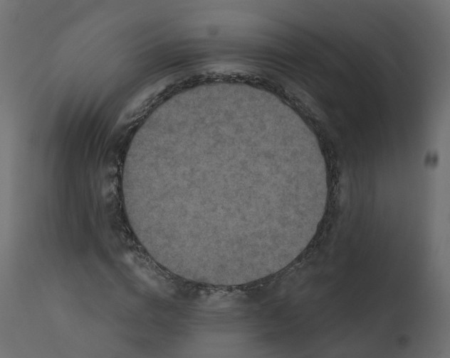 X0000110720824200906261453