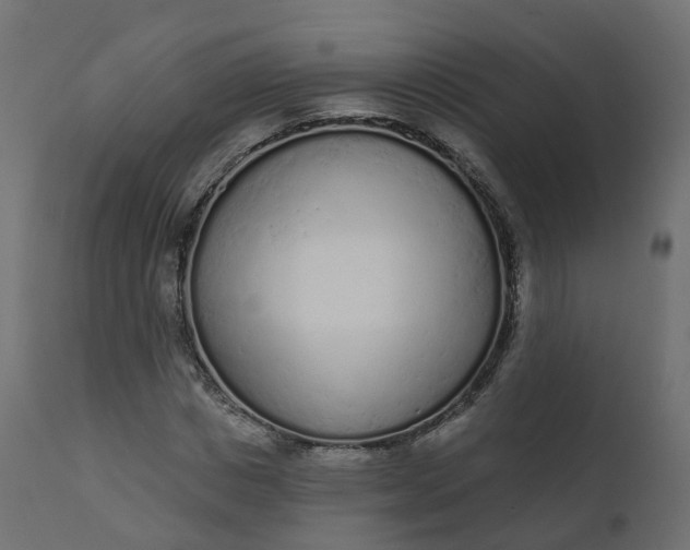 X0000110720825200906261453